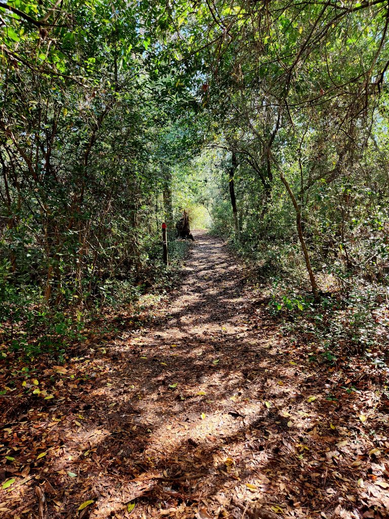Second Saturday trail maintenance and clean up – Campground Trail